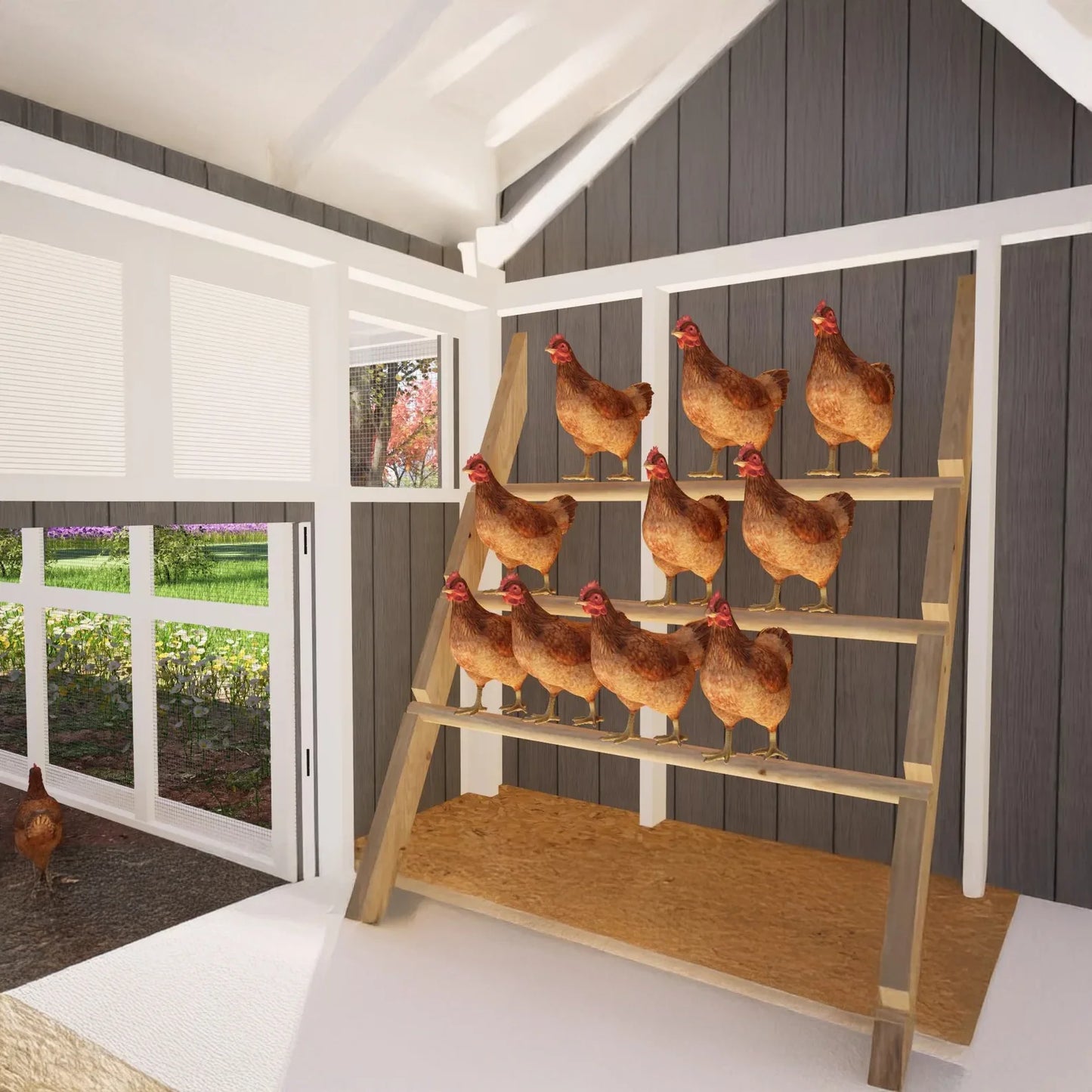 Large DIY Hen House for 24 Chickens ( Printed plans )