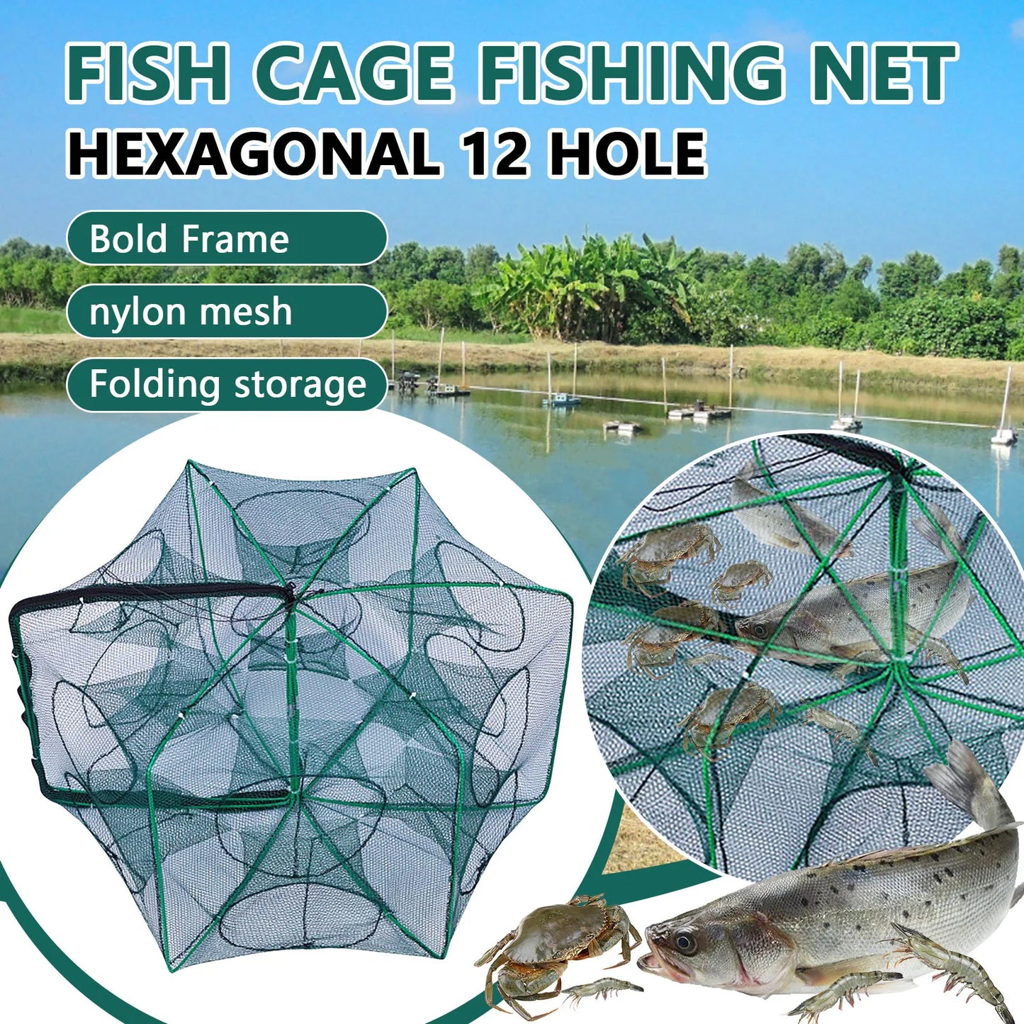 Folding lobster cage fish shrimp crayfish crab