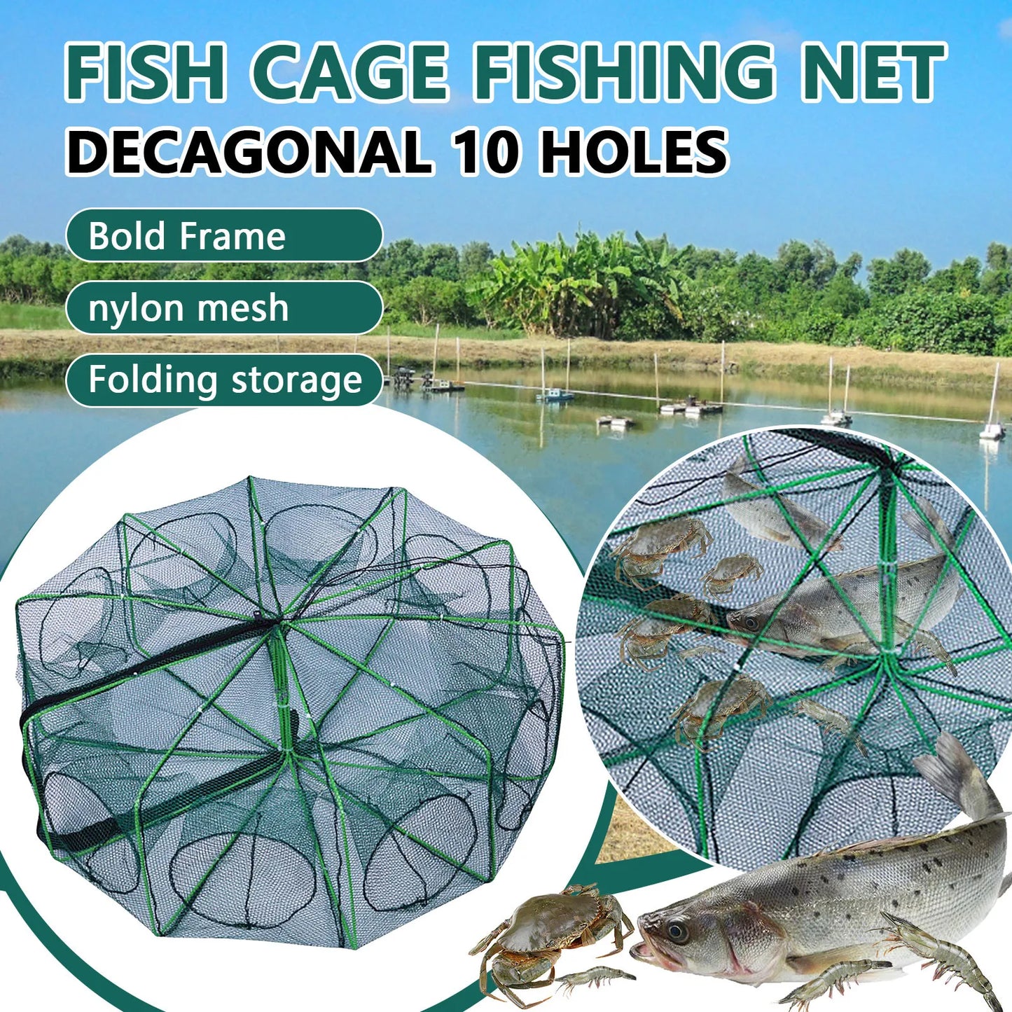Folding lobster cage fish shrimp crayfish crab