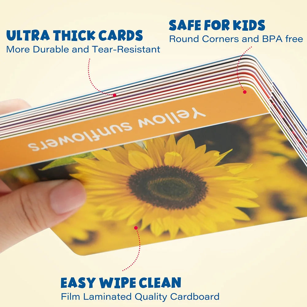 Toddlers Educational Flashcards, Alphabet Number, Preschool Learning