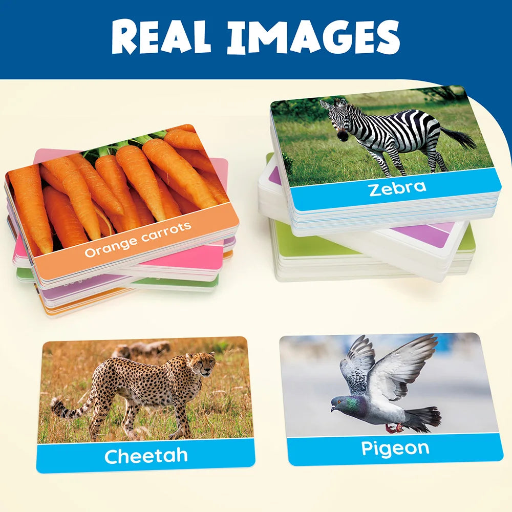 Toddlers Educational Flashcards, Alphabet Number, Preschool Learning