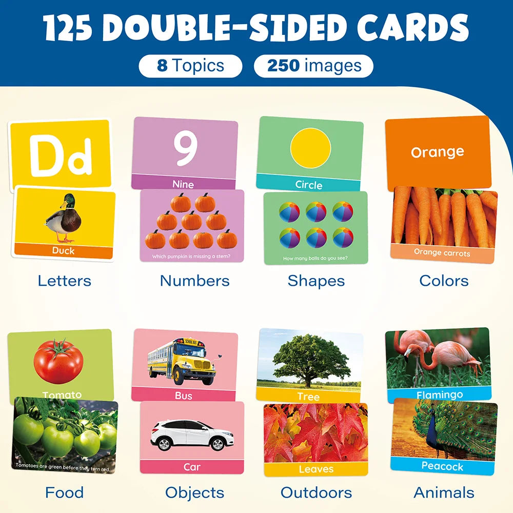 Toddlers Educational Flashcards, Alphabet Number, Preschool Learning
