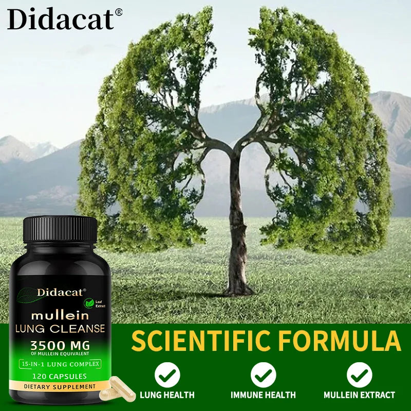 Extract  Lung Clearing,  Healthy Breathing, Immune Support