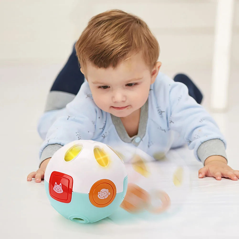 Baby Musical Crawling Learning Ball, Interactive Toy